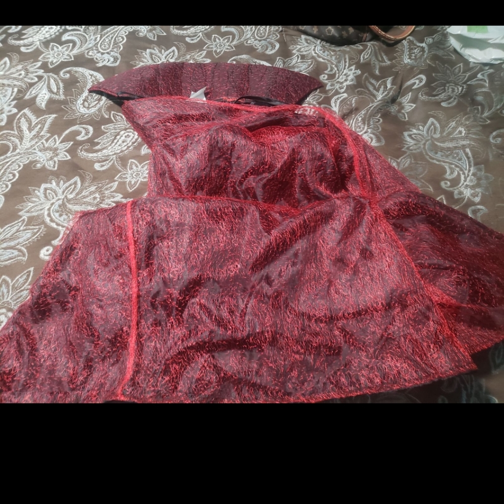 Red Cape - Picture 6 of 7